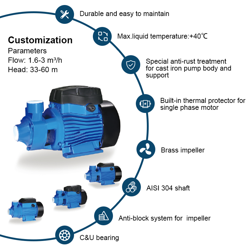 QB-60 elektrische industriële centrifugaal helder schoon waterpomp zwembadvijver 370W