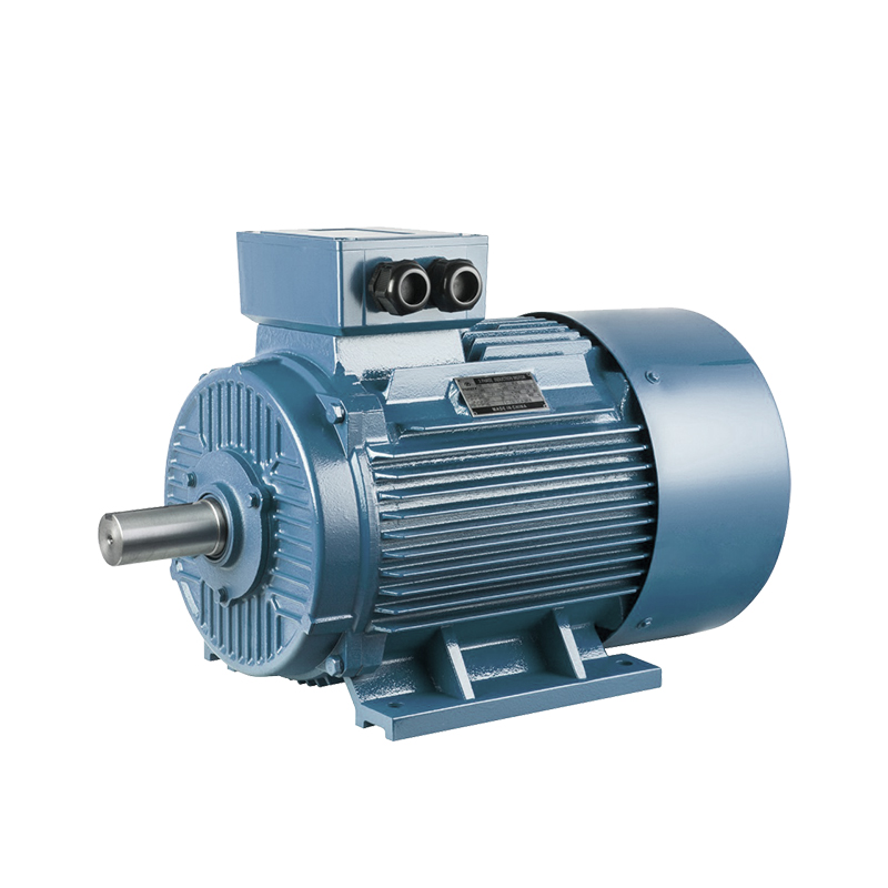 YE3/IE3-serie hoogrenderende driefasige asynchrone motor